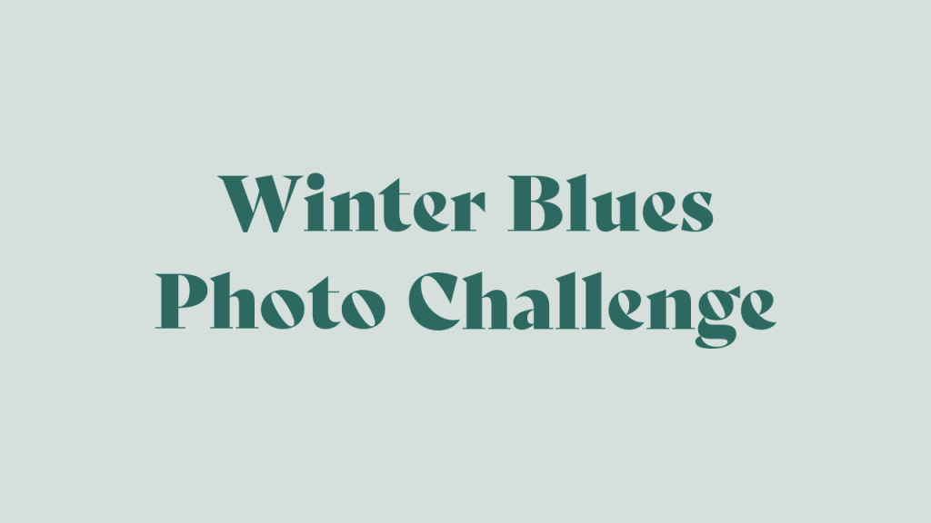 Winter Blues 30 Day Photo Challenge 2022